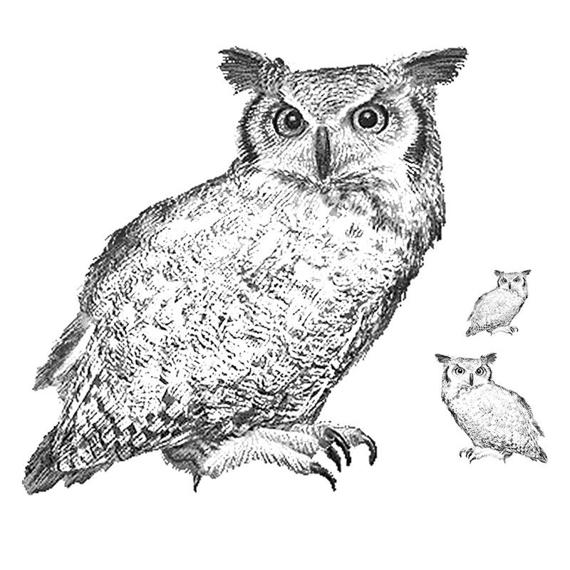 #2519 - Owls 3pc. - Nature/Fall